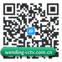 iOS 苹果版 二维码 | WENDING